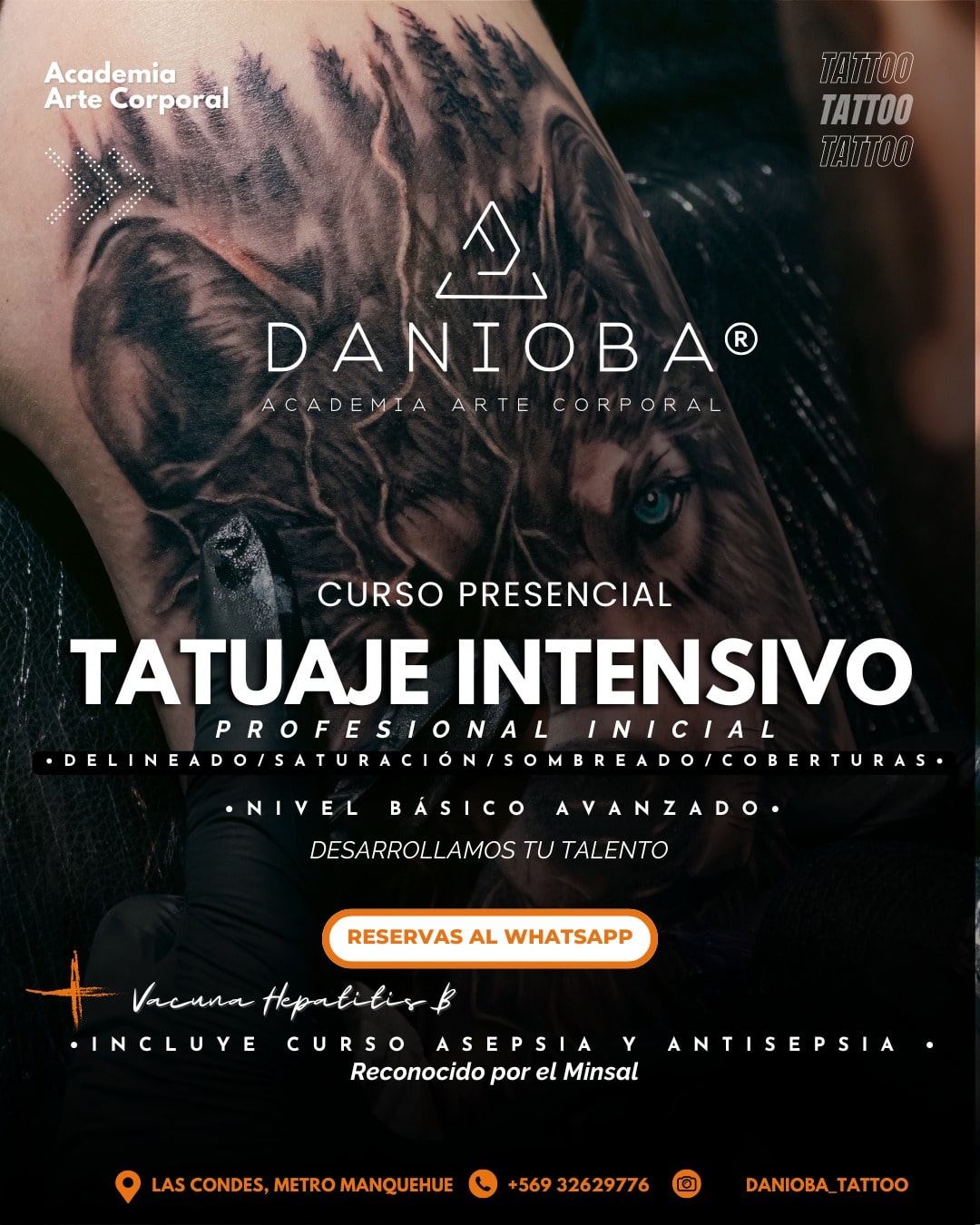 Curso de tatuaje intensivo basico y avanzado. Curso de tatuaje delineado, saturación, sombreado y coberturas. Academia DANIOBA